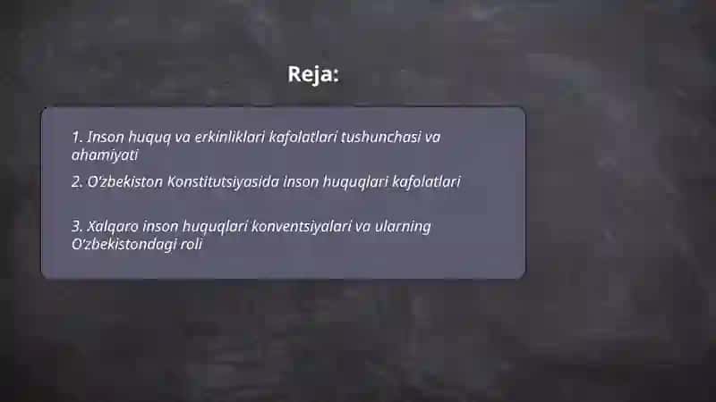 Inson huquq va erkinliklari kafolatlari 2