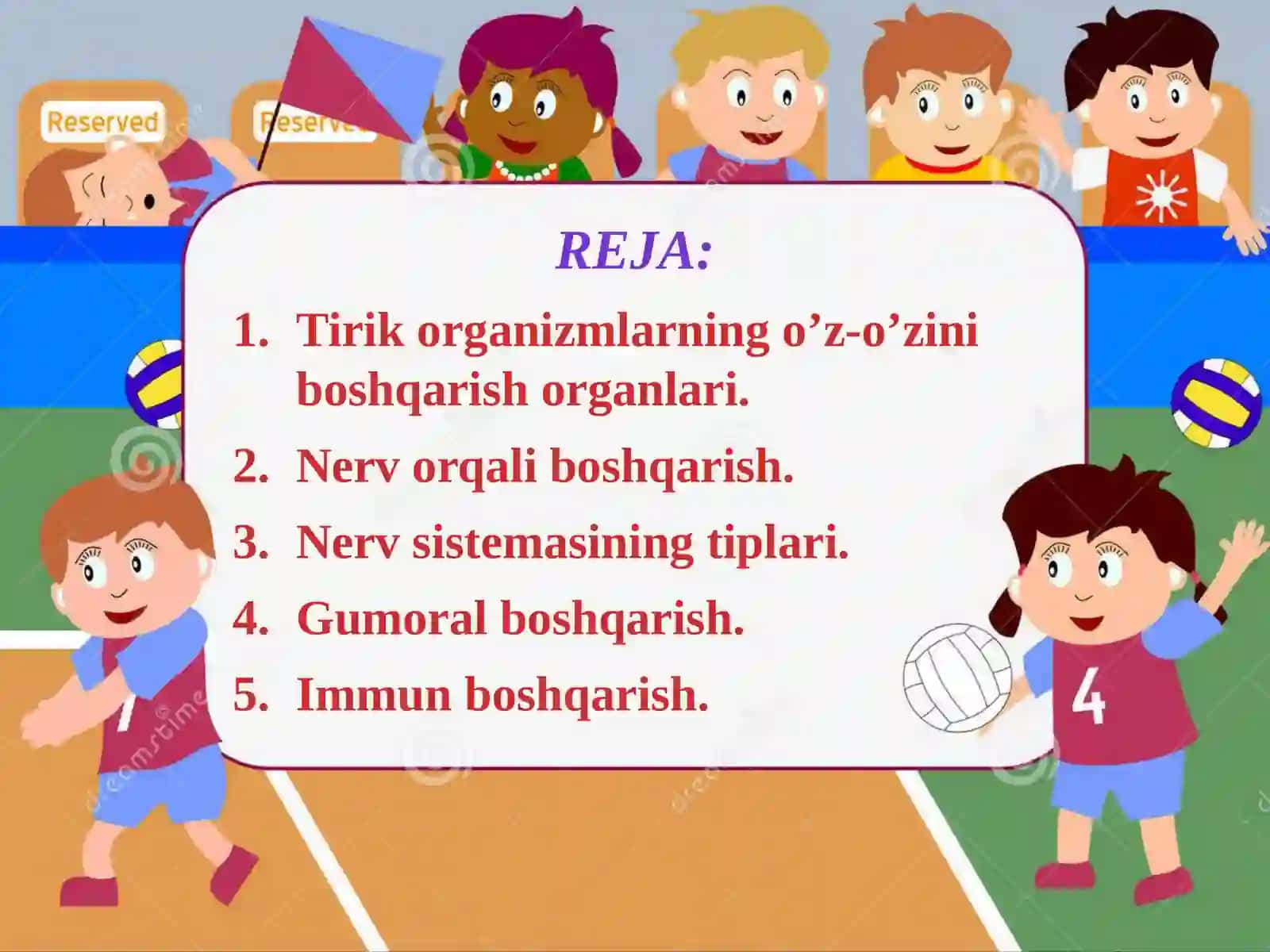 11-sinf Biologiya dars ishlanma. Tirik organizmlarda o'z-o'zini idora etish organlari. Gumoral va nerv sistemasi evolutsiyasi 2