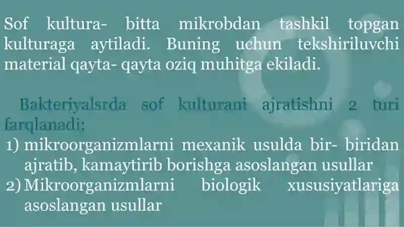 Aerob va anaerob bakteriyalarni sof hosilasini ajratish bosqichlari 2