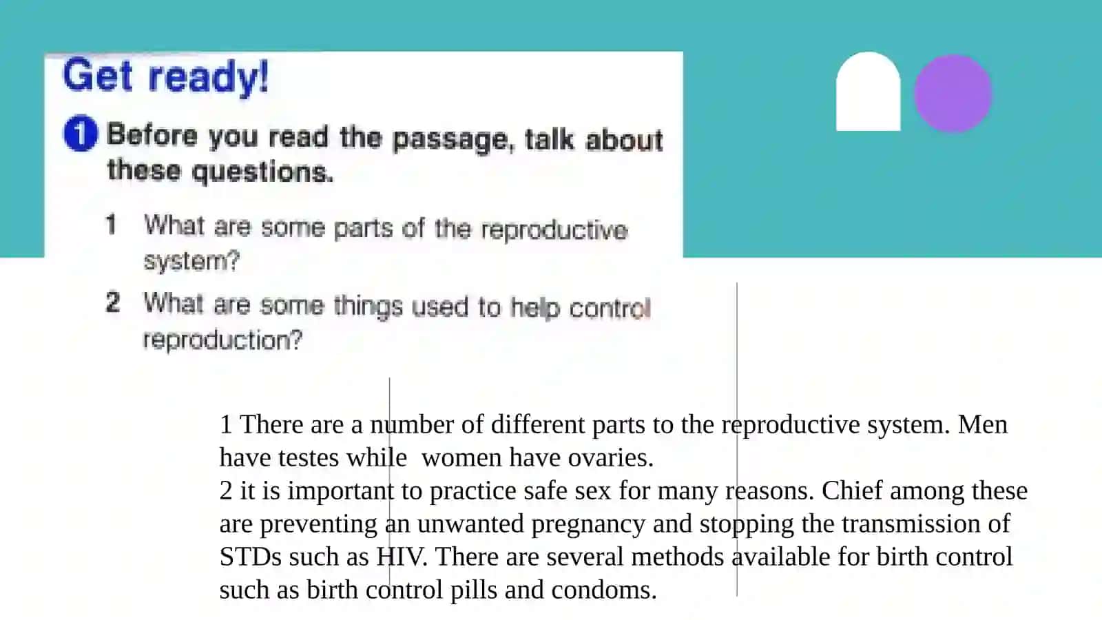 Reproductive system 2