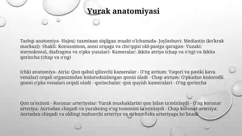 Yurak 2