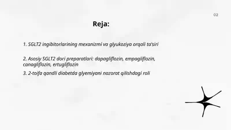 SGLT2 INGIBITORLARI 2