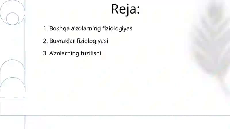 Ayirish tizimiga kiruvchi azolarining tuzilishi fiziologiyasi 2