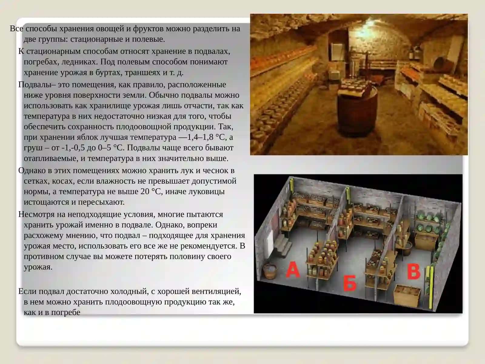 Иқтисодиётда қишлоқ хўжалиги маҳсулотларини сақлаш ва дастлабки ишлов бериш 2