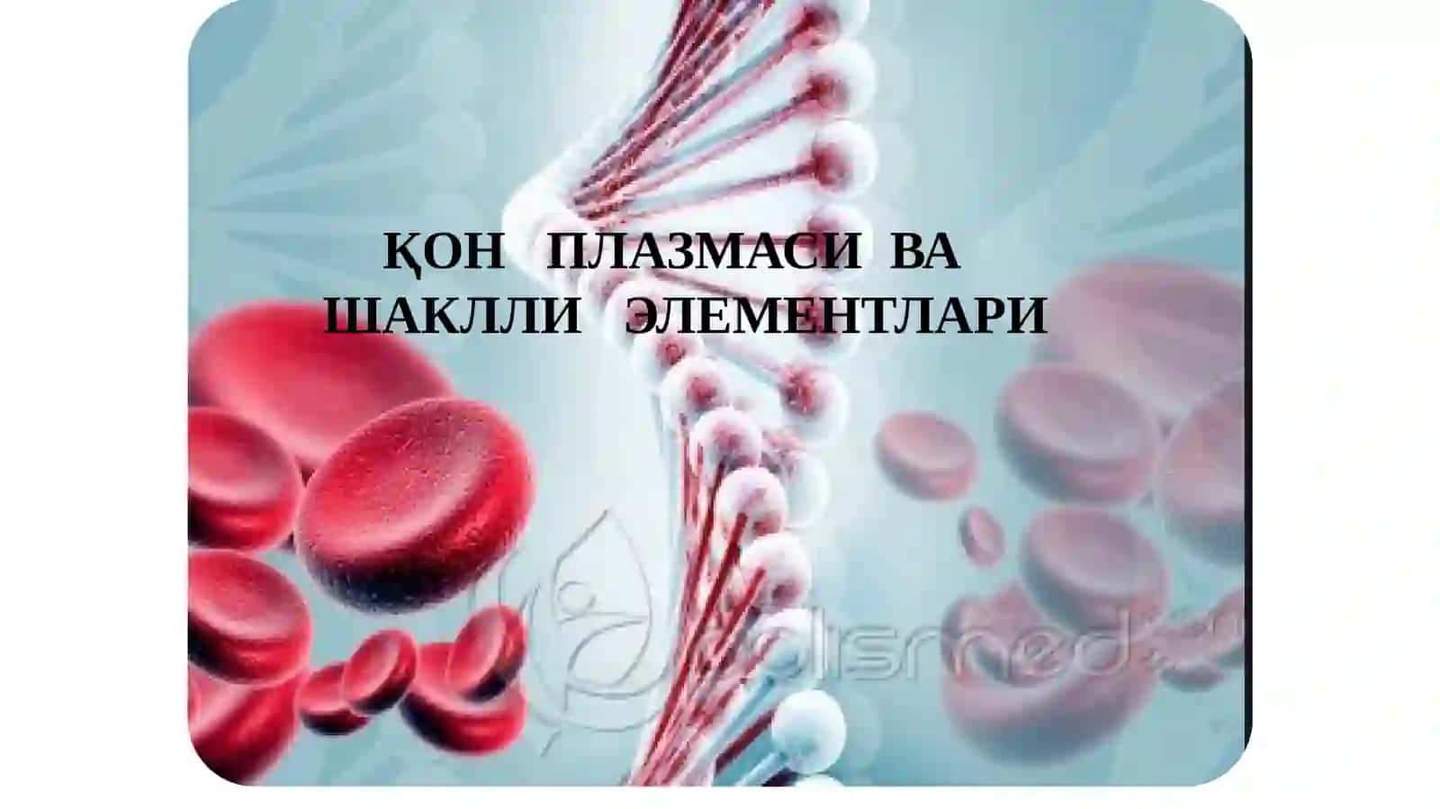 ҚОН ПЛАЗМАСИ ВА ШАКЛЛИ ЭЛЕМЕНТЛАРИ 2