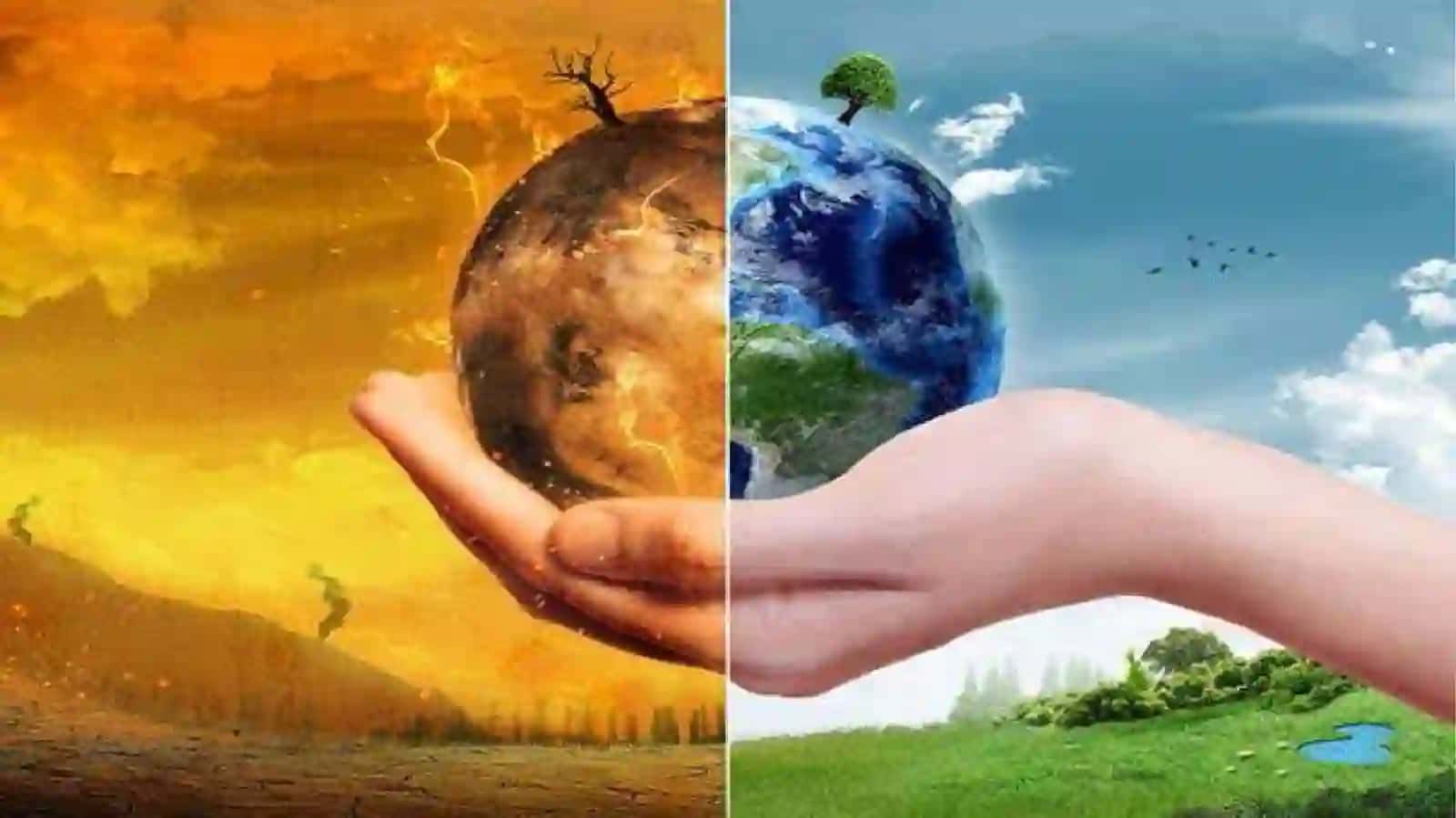 EKOLOGIYA VABIZ 2