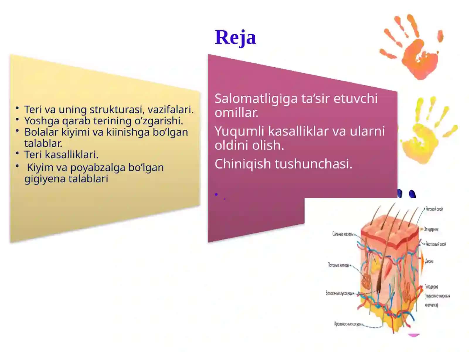 Terianalizatorining yoshga oid xususiyati va gigiyenasi. Bolalar va oʻsmirlar salomatligiga taʼsir etuvchi omillar 2