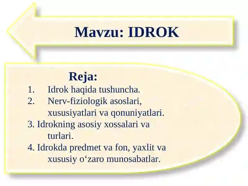 IDROK 2