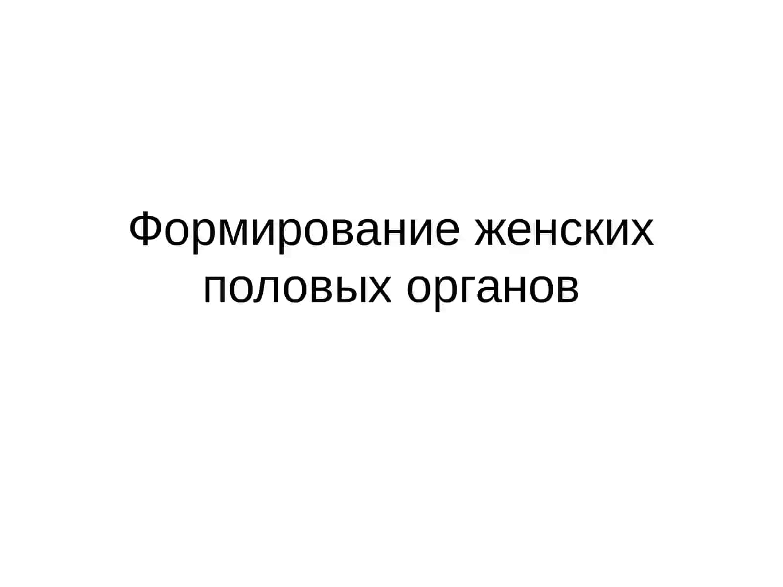 Анатомия и физиология шейки матки 2