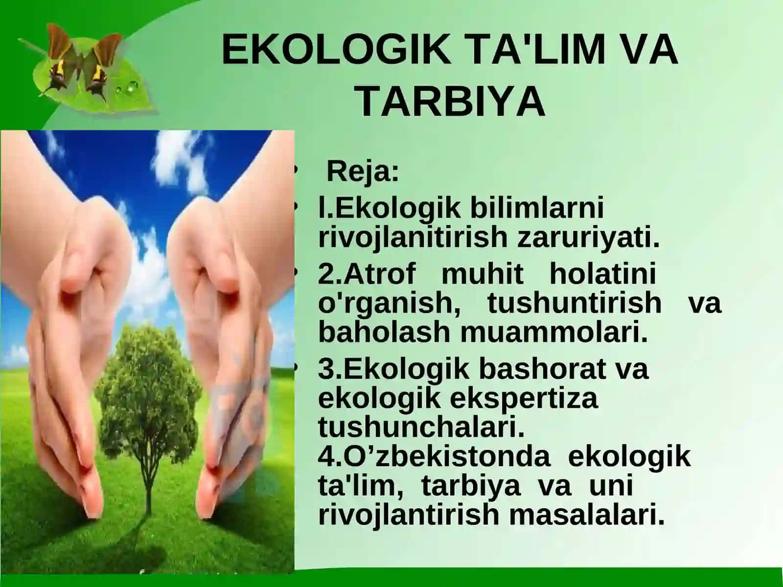 Ekologik ta'lim va tarbiya 2
