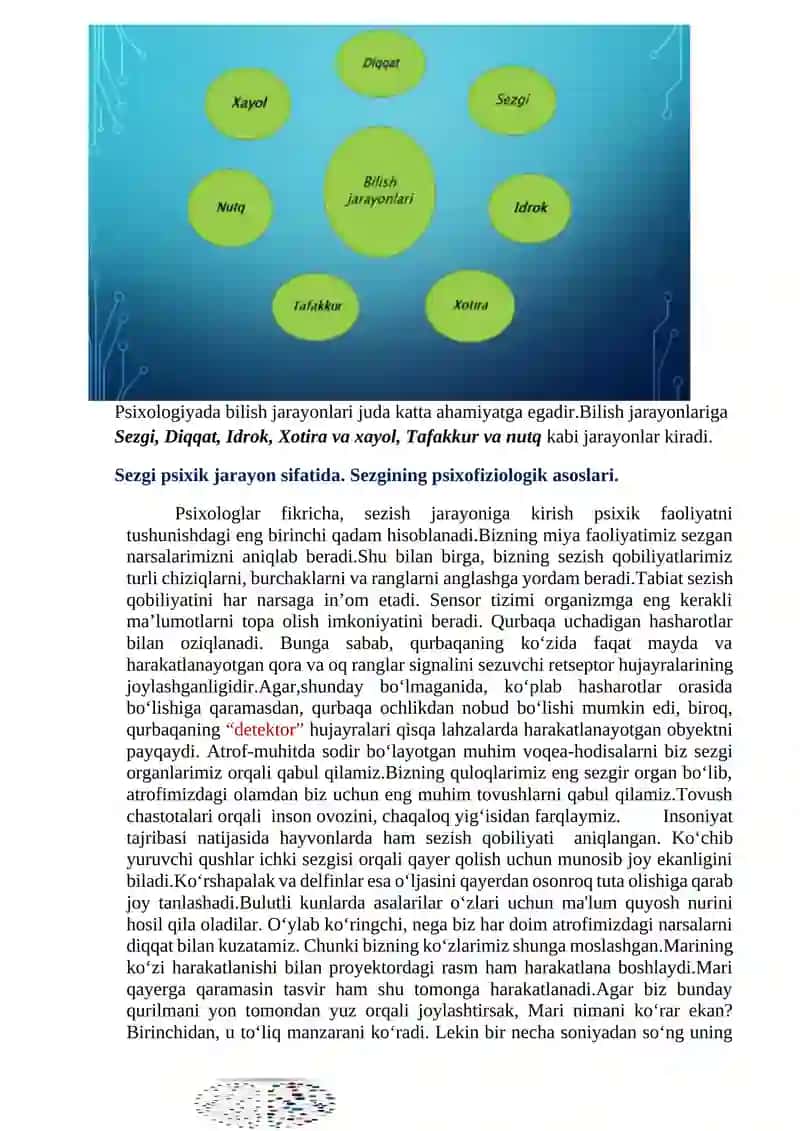 Bilish jarayonlari 2