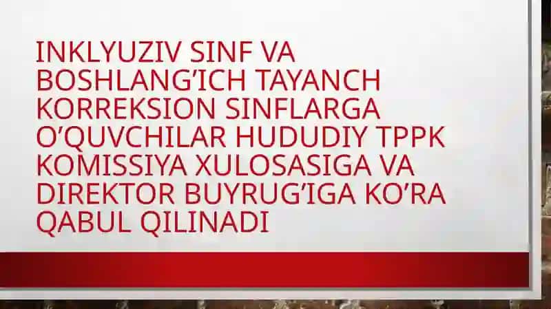 Inklyuziv Ta’lim va Tayanch Korreksion sinflariga Qabul Qurilmaydigan Bolalar 2