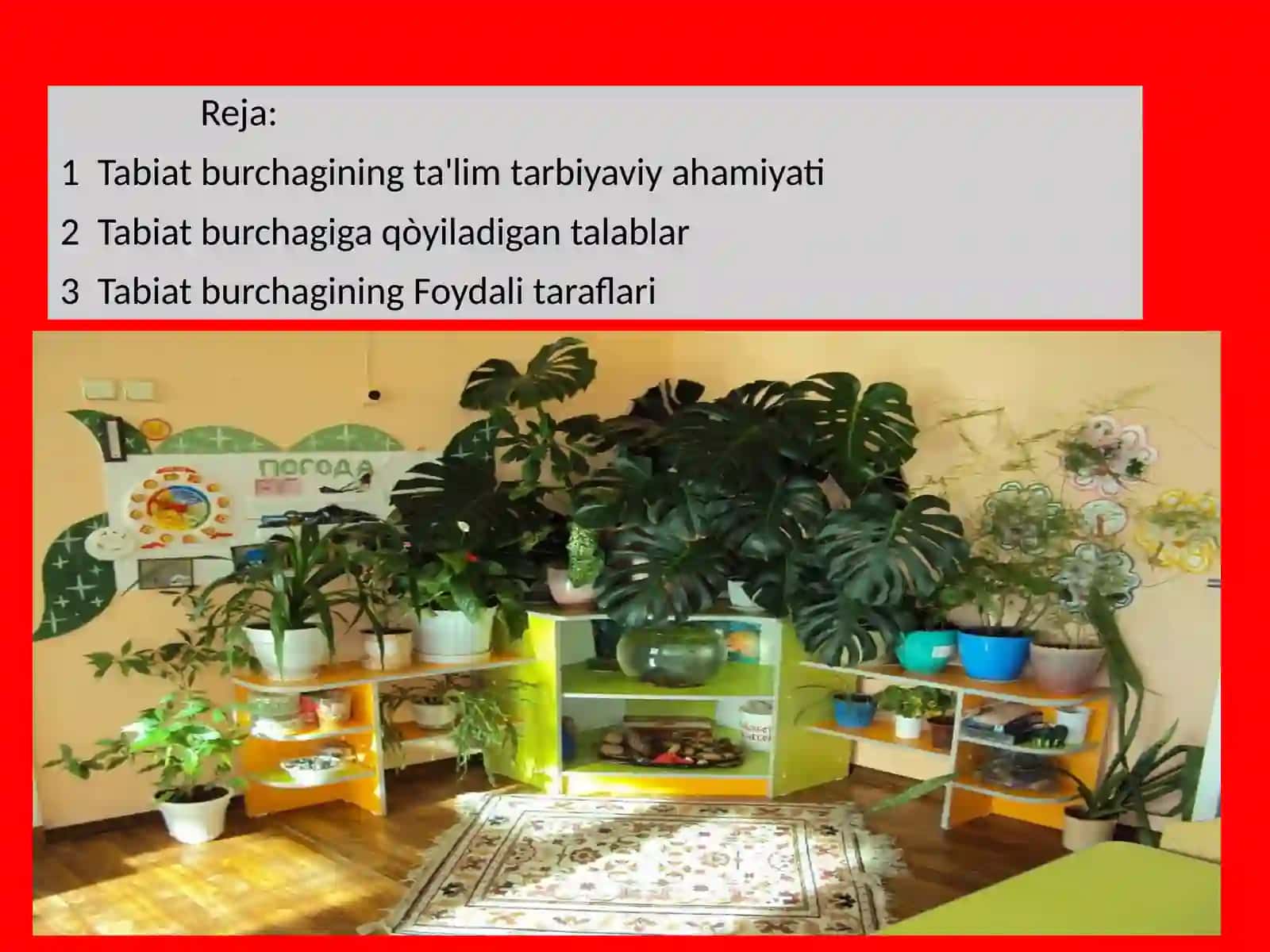 MTM daturliguruhlarda tabiat burchagini tashkil qilish 2