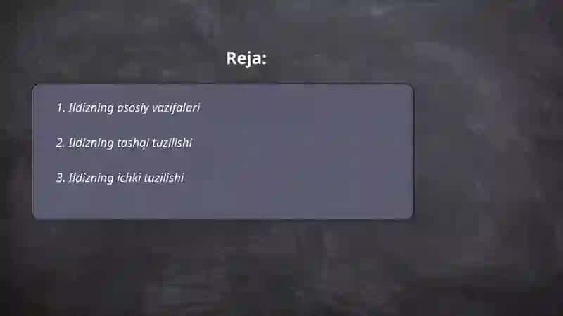 Ildiz tuzilishi va turlari 2