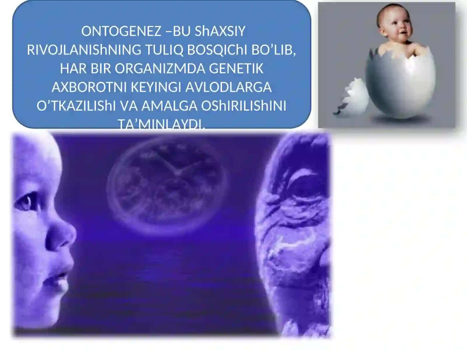 Individual rivojlanishning umumiy qonuniyatlari 2