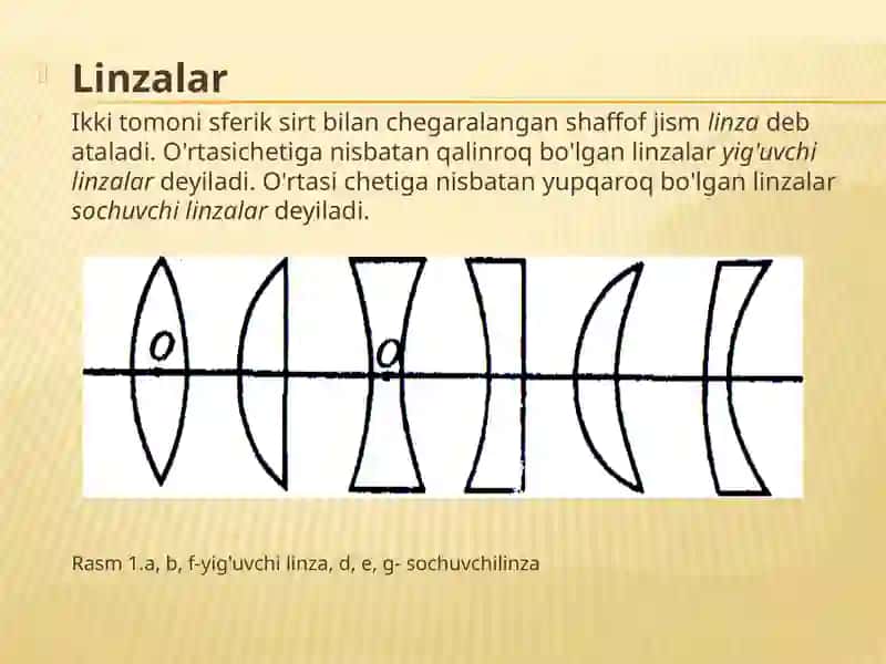 Linzalar 2