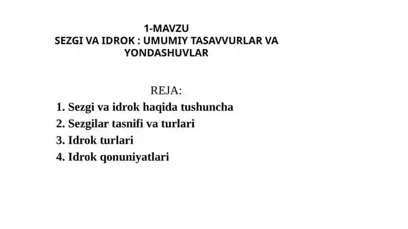 SEZGI VA IDROK : UMUMIY TASAVVURLAR VA YONDASHUVLAR 2