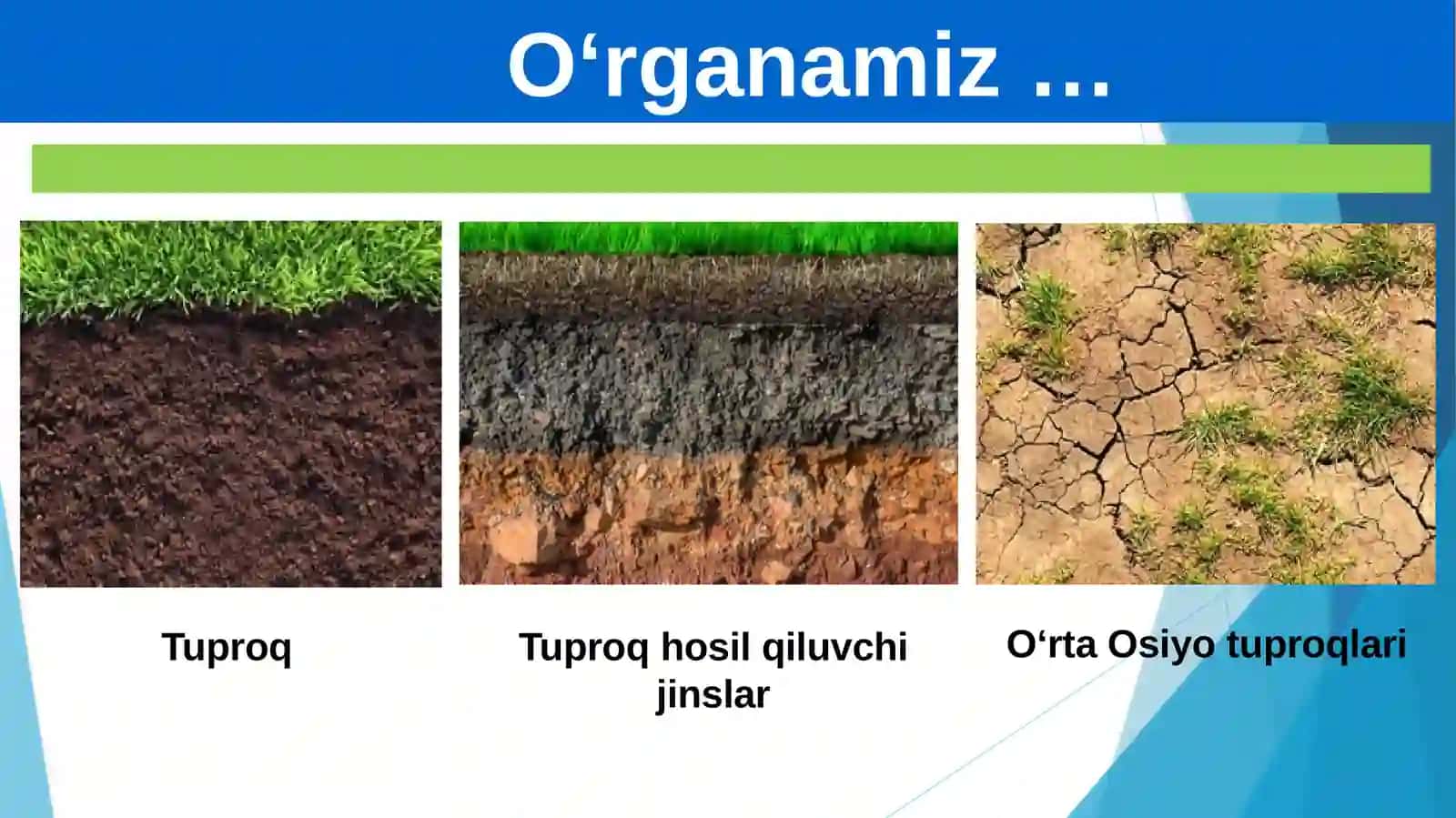AGROBIOLOGIYA FAKULTETI 2
