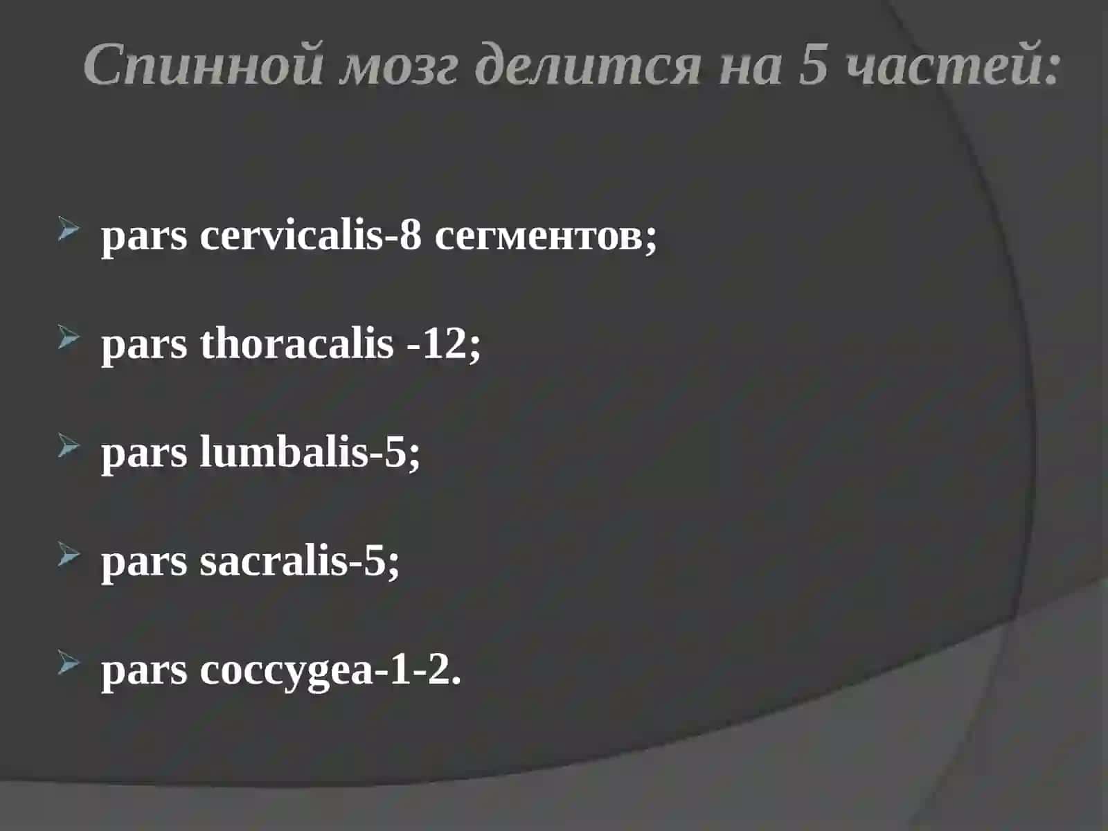 Асабсубъектининг клиник анатомияси 2