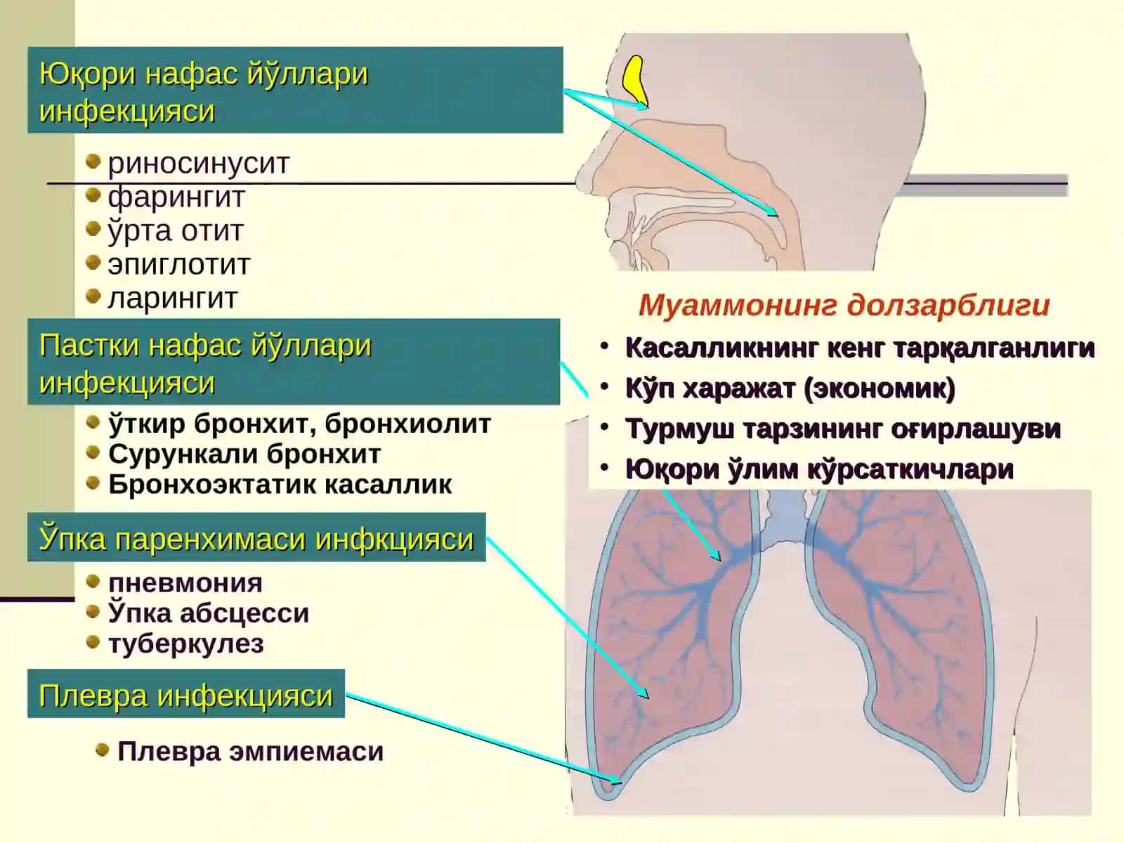 Пневмония 2