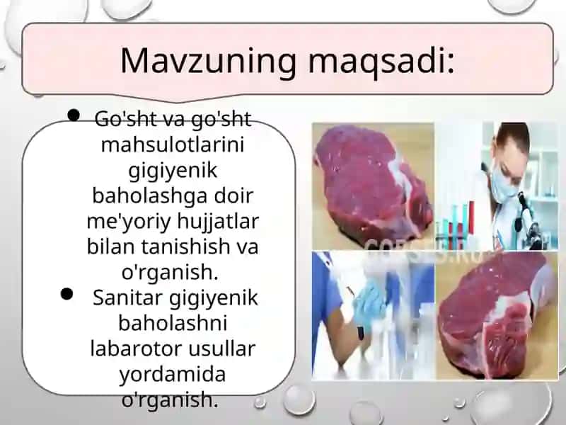 Go'sht va go'sht mahsulotlarini gigiyenik baholash 2