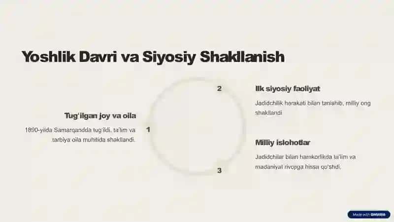 Ahmad Zaki Validiyning Siyosiy Qarashlari 2