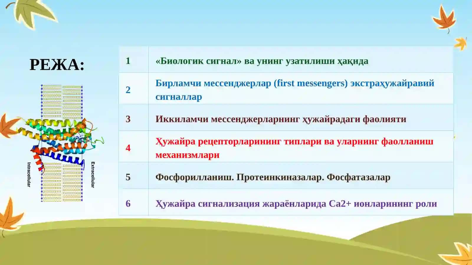 Ҳужайрага сигнал трансдукция системаси ҳақида асосий маълумотлар 2