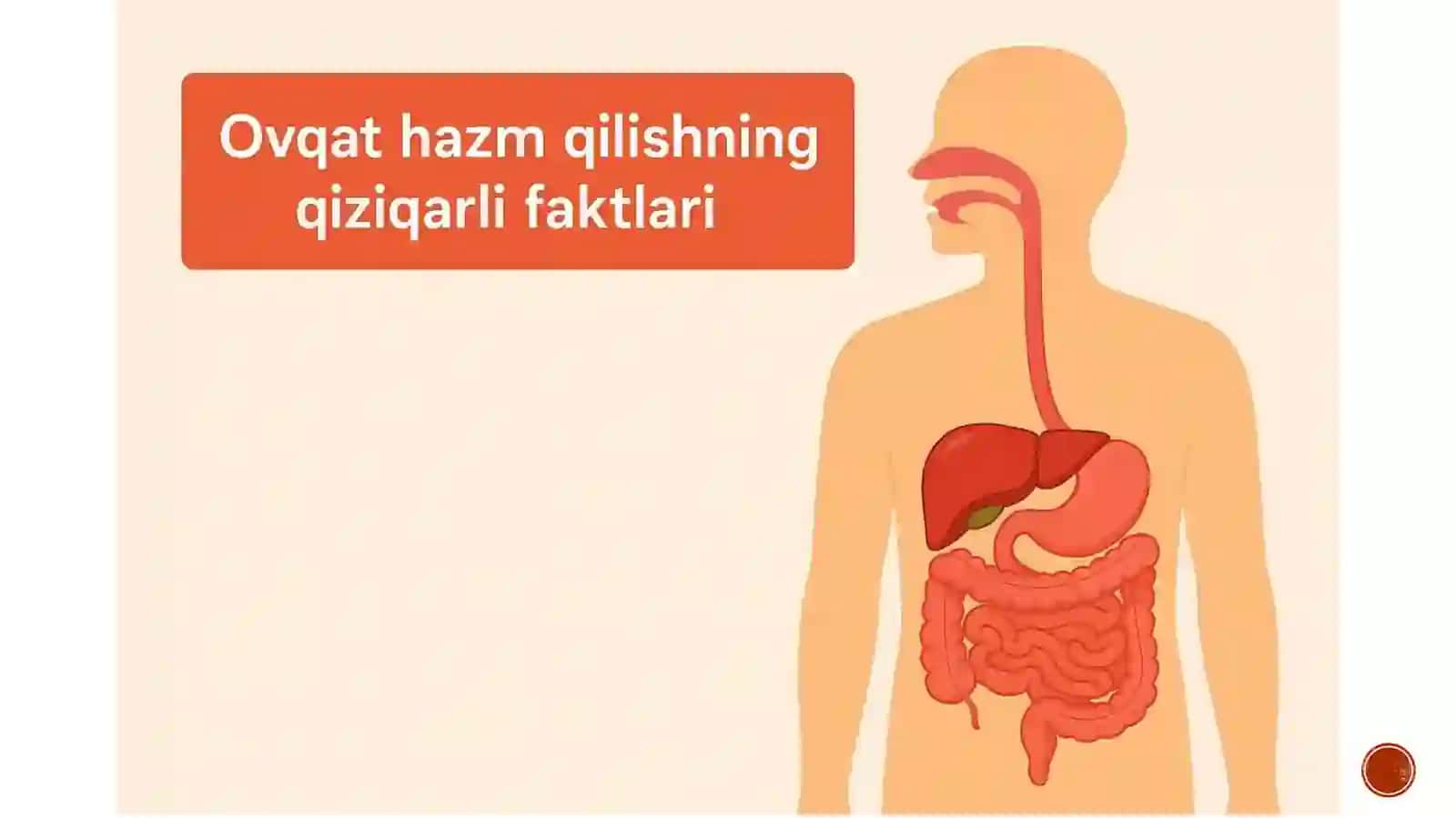 Nizomiynomidagi TDPU tabiiy fanlar fakulteti biologiyayoʻnalishitalabasiYoʻldoshevaDilxushabonuningslaydi 2