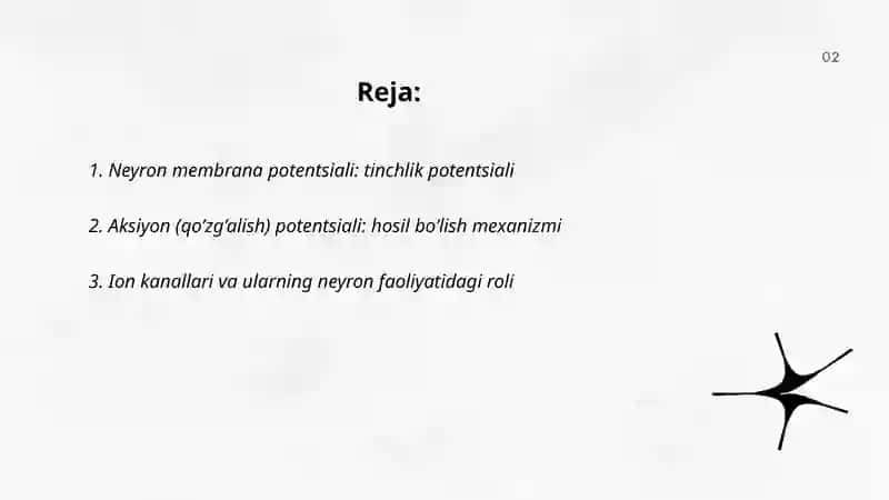 Neyronlar fiziologiyasi 2