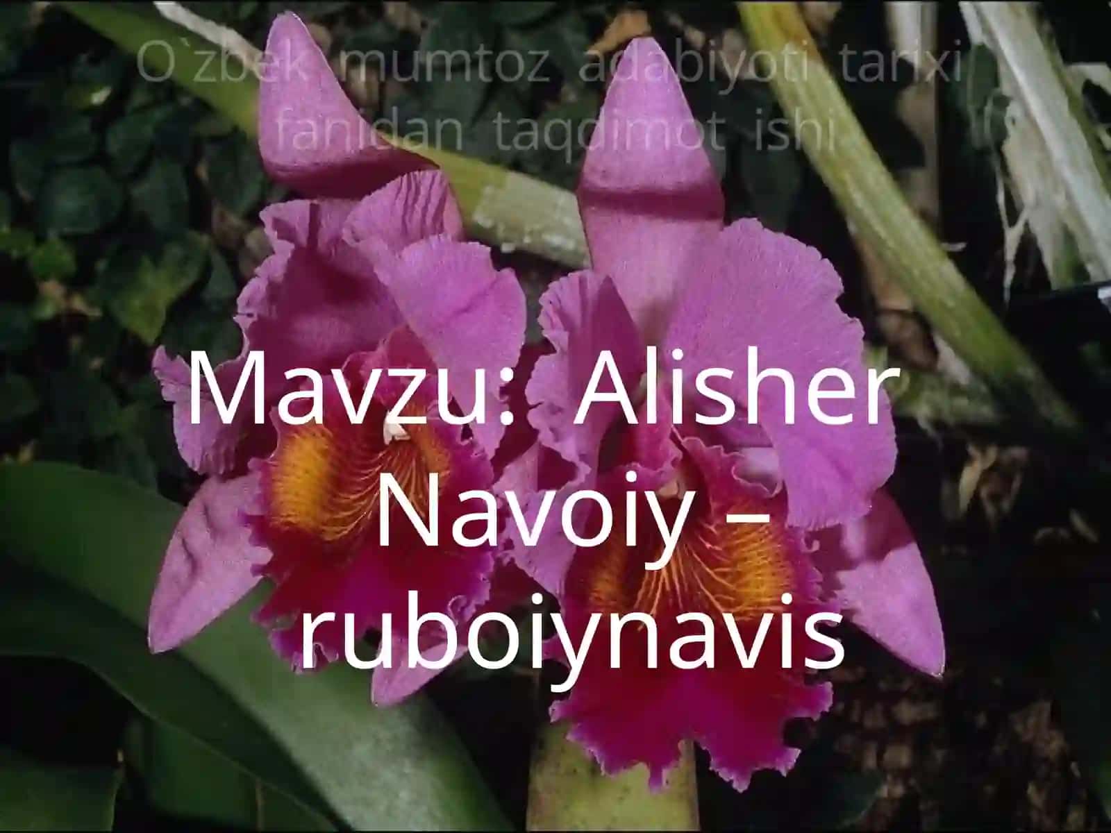 8-sinf Adabiyot Alisher Navoiy ruboiylar mavzuda dars taqdimot 2