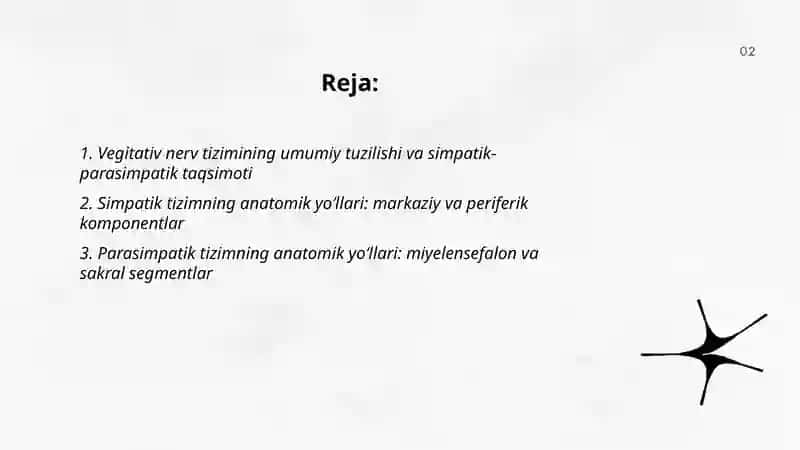 Vegitativ nerv tizimining simpatik va parasimpatik qismi 2