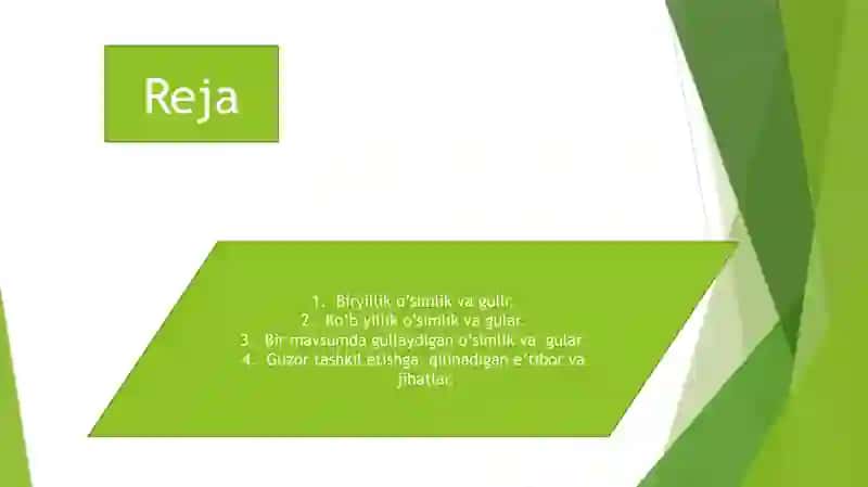 Turli fasillarda gulzor tashkil etish ko'b yillik, bir yillik, bir mavsumda gullaydigan o'simliklar 2