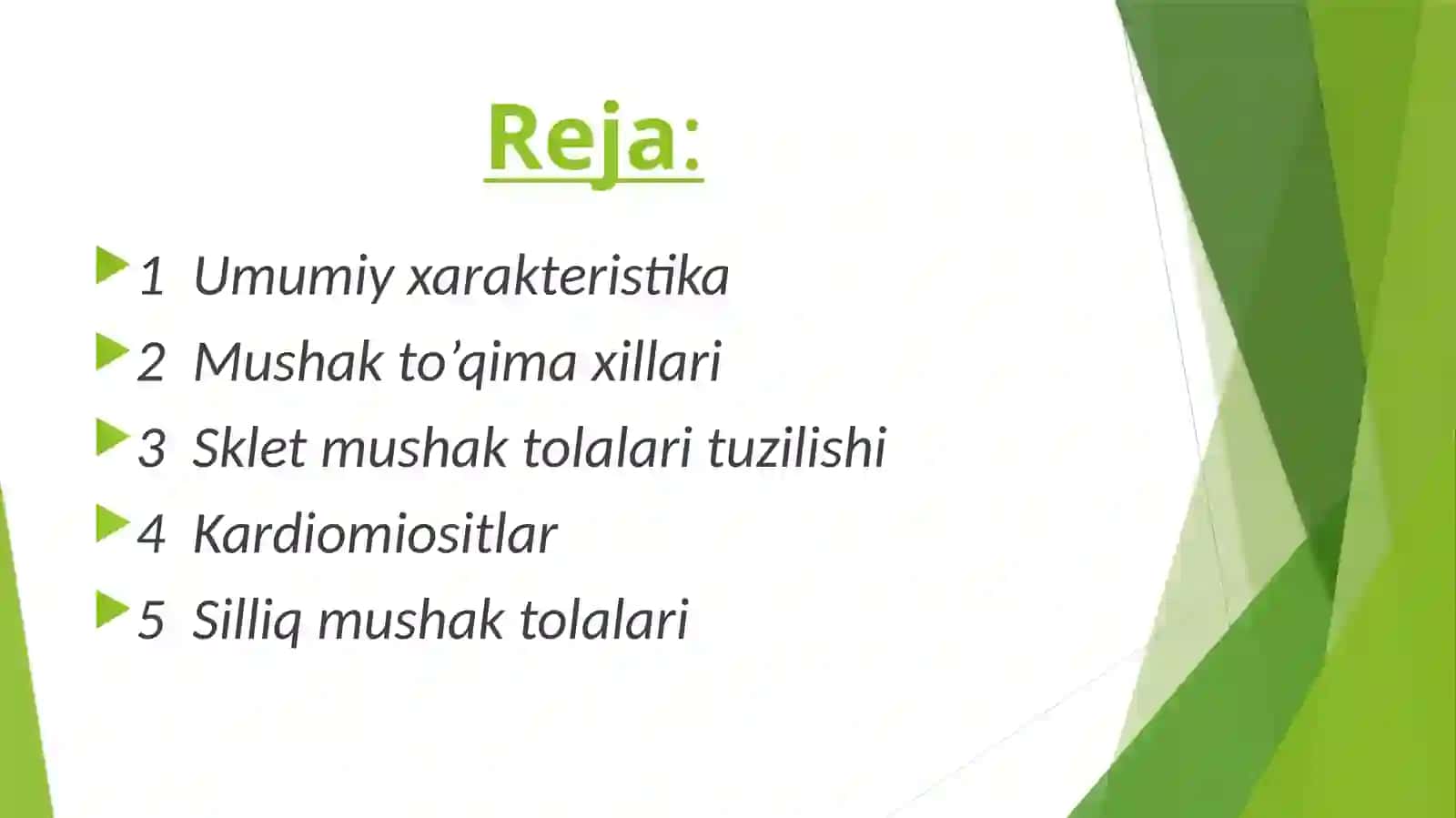 MUSHAKLAR 2
