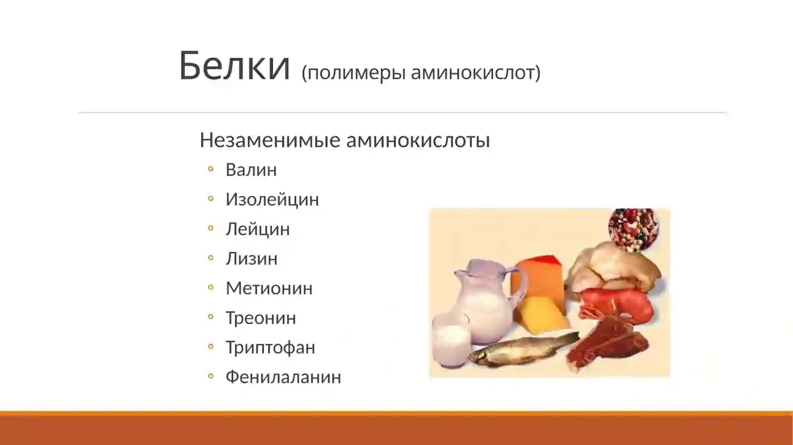 Роль белков, жиров и углеводов в организме человека 2