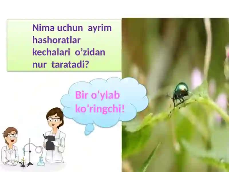 Fosforningxossalari 2