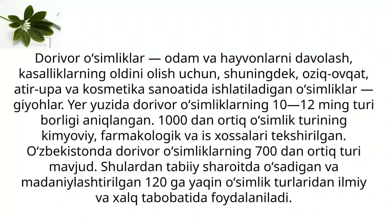 Oʻzbekistonningdorivoroʻsimliklarflorasi 2