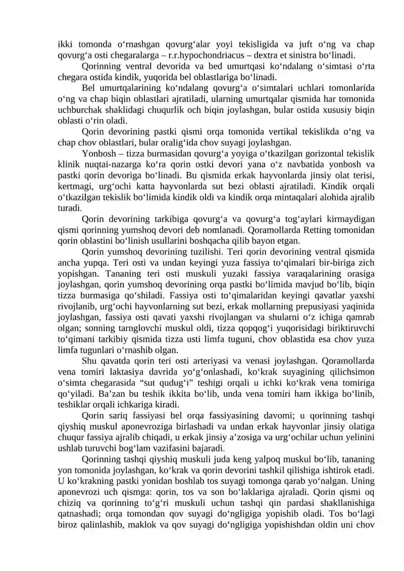 MA’RUZA: QORIN SOHASI ANATOMO-TOPOGRAFIK TUZILISHI 2