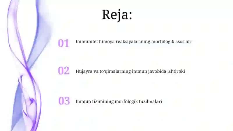 Immun - himoya reaksiyalarining morfologik asoslari 2