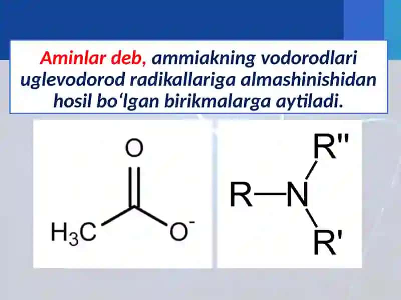 Aminlar va Aromatik Aminlar. Olinishi va xossalari 2