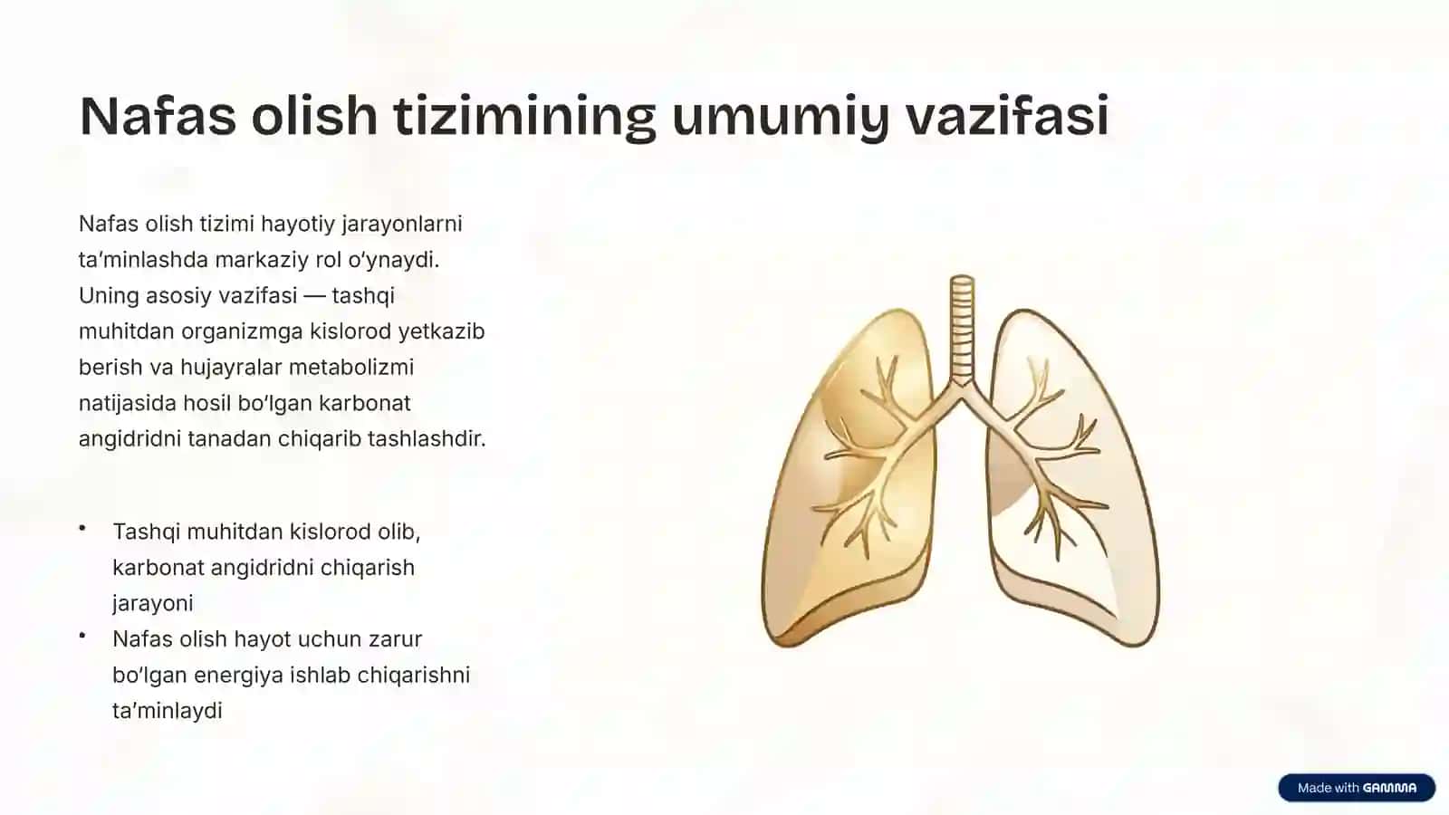 Nafas Yo‘llariga Kiruvchi A’zolarning Tuzilishi va Joylashishi 2