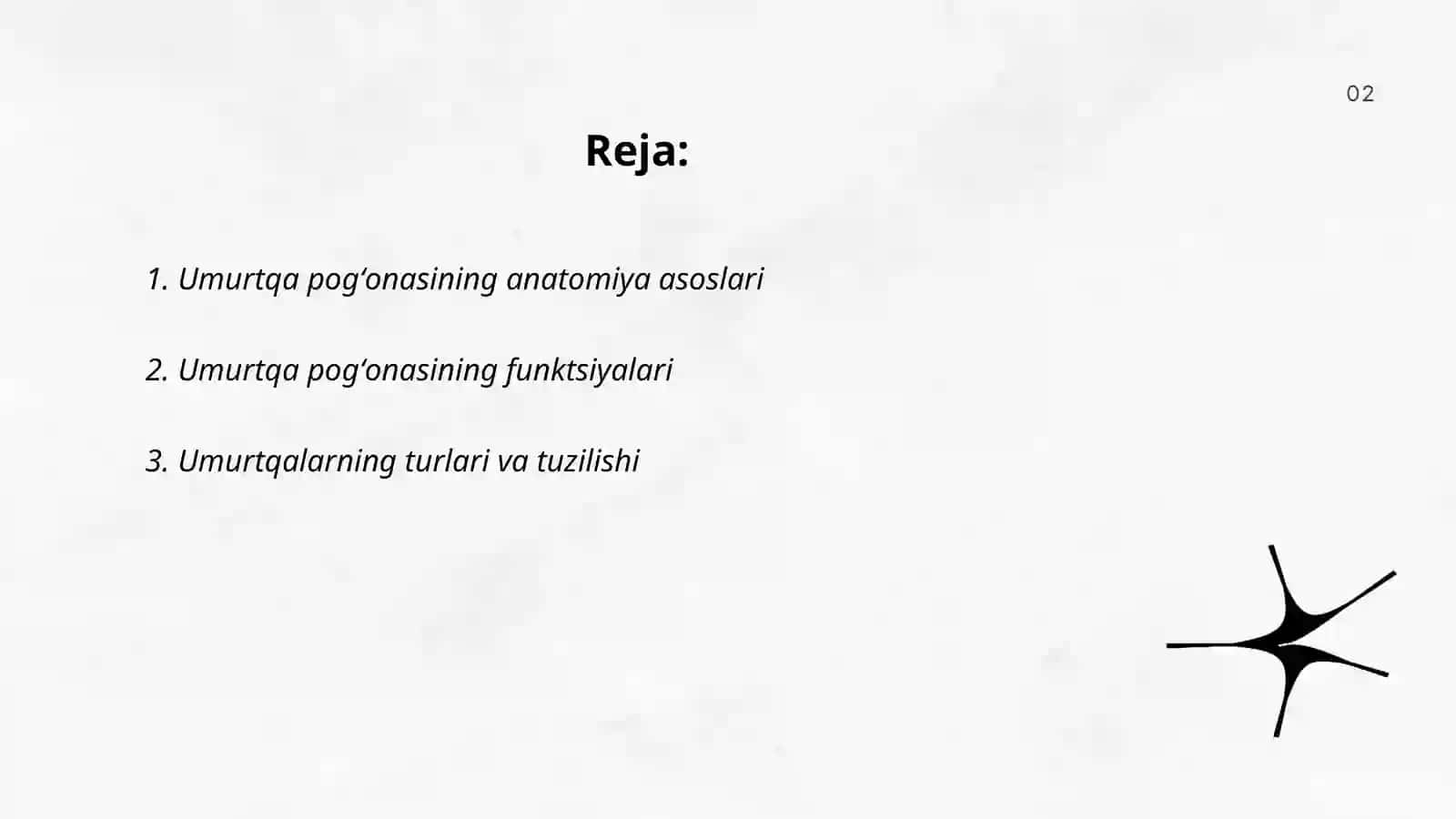 Umurtqa pogʻonasining tuzilishi 2