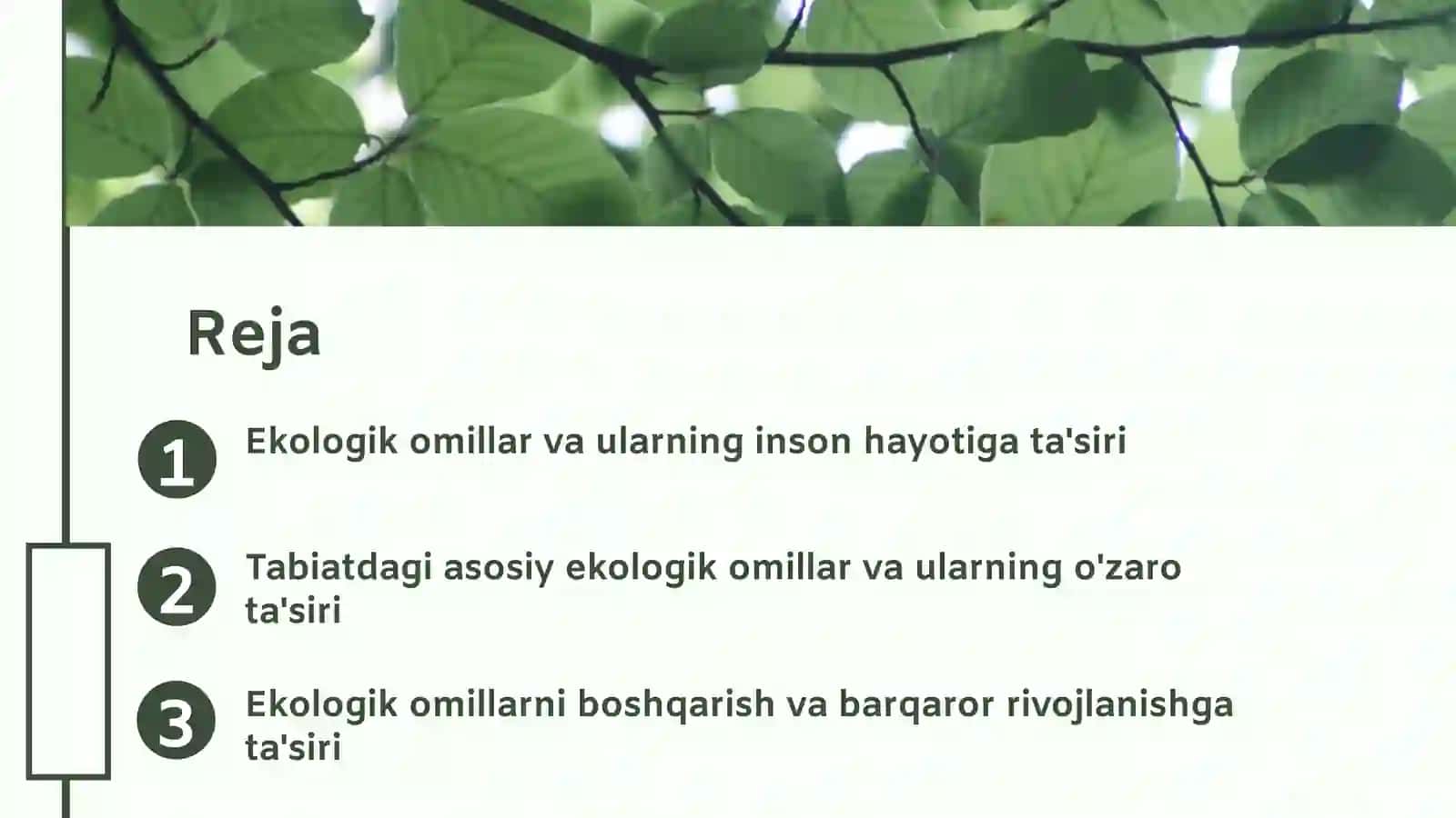 Ekologik omillar 2