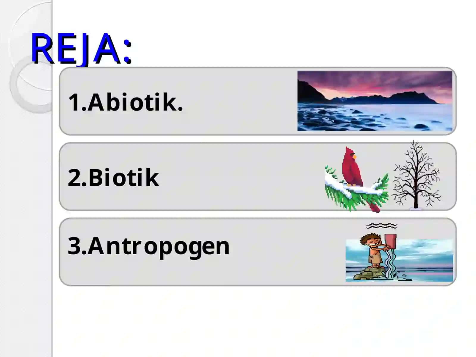 Ekologik omillar tasnifi 2