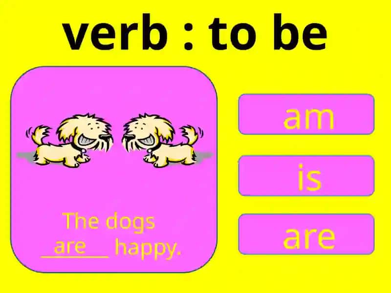 French Language Practice 2