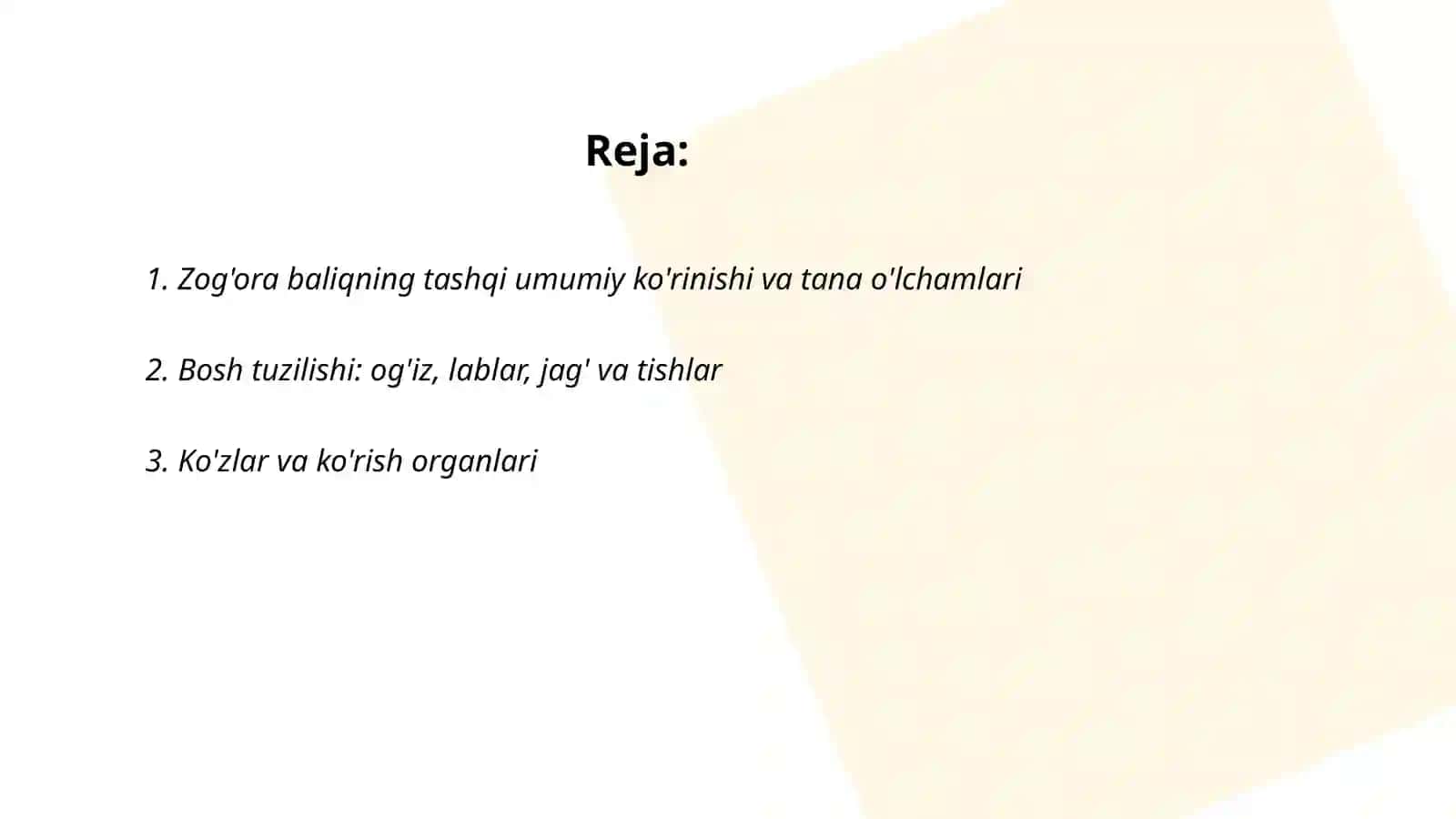 Zog'ora baliqning tashi va ichki tuzilishi 2