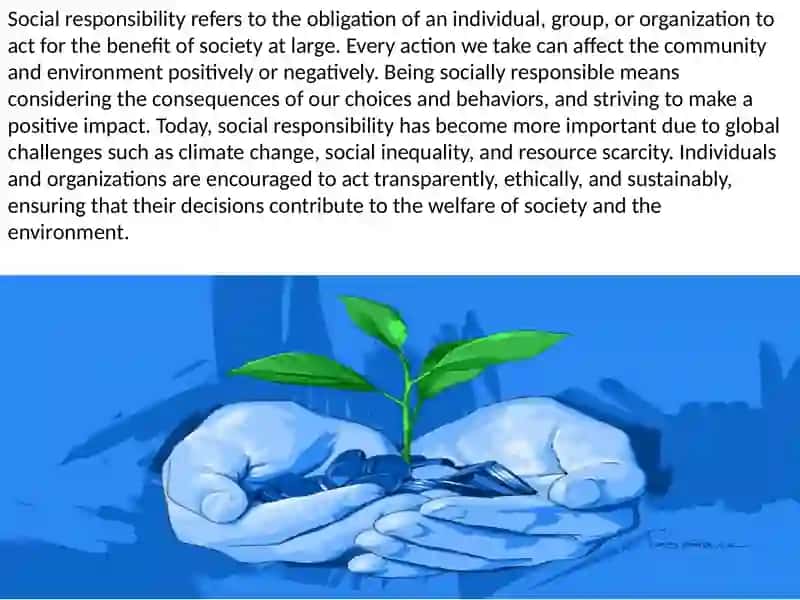 Plan: Social Responsibility 2
