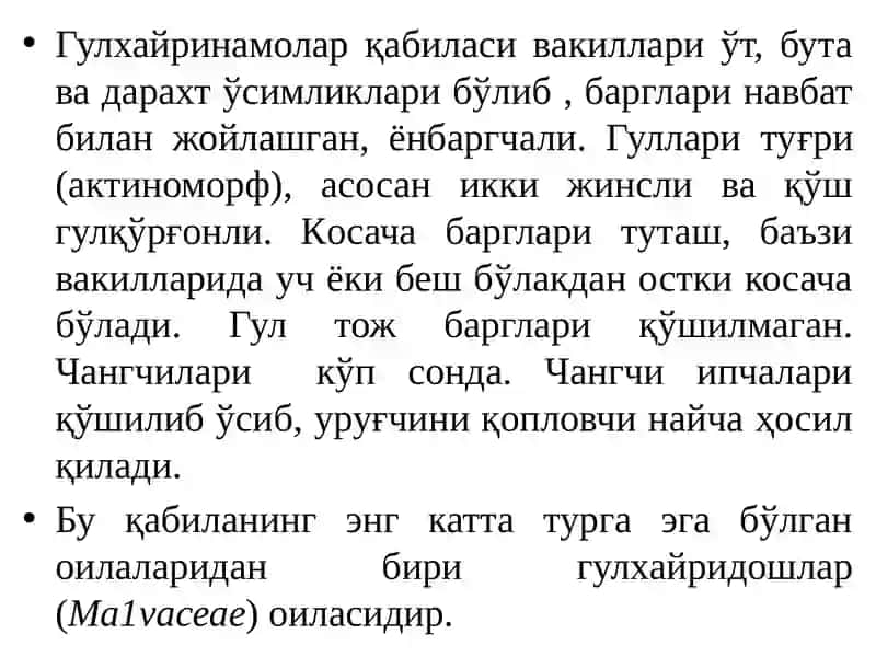 Гулхайринамолар қабиласи - Маvales 2