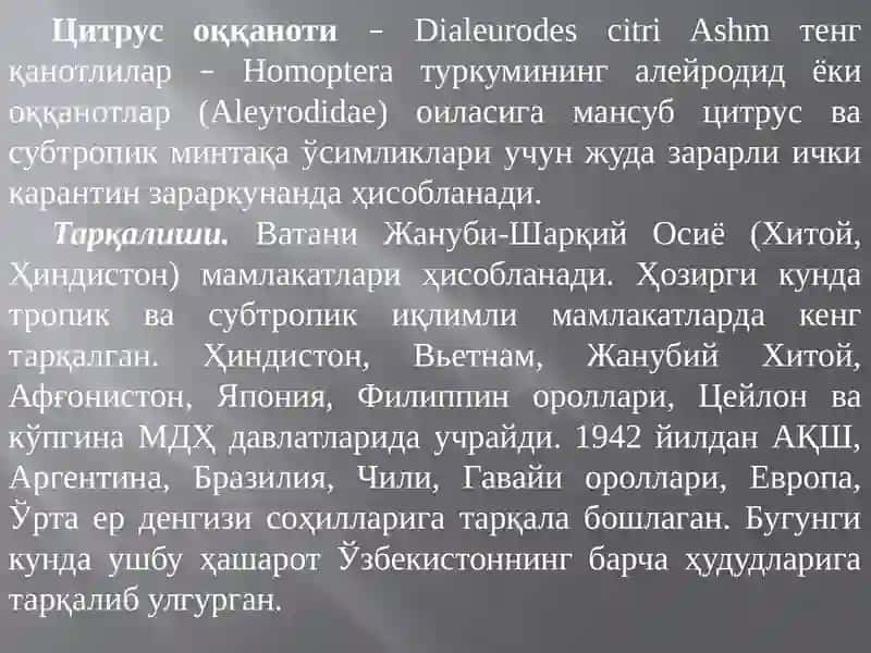 Цитрус оққаноти– Dialeurodes citri Ashm. 2