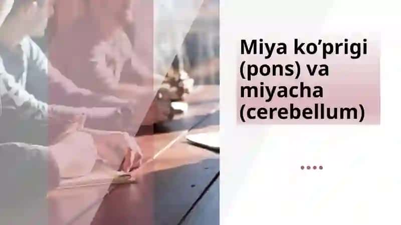Miyako’prigi anatomiyasi 2