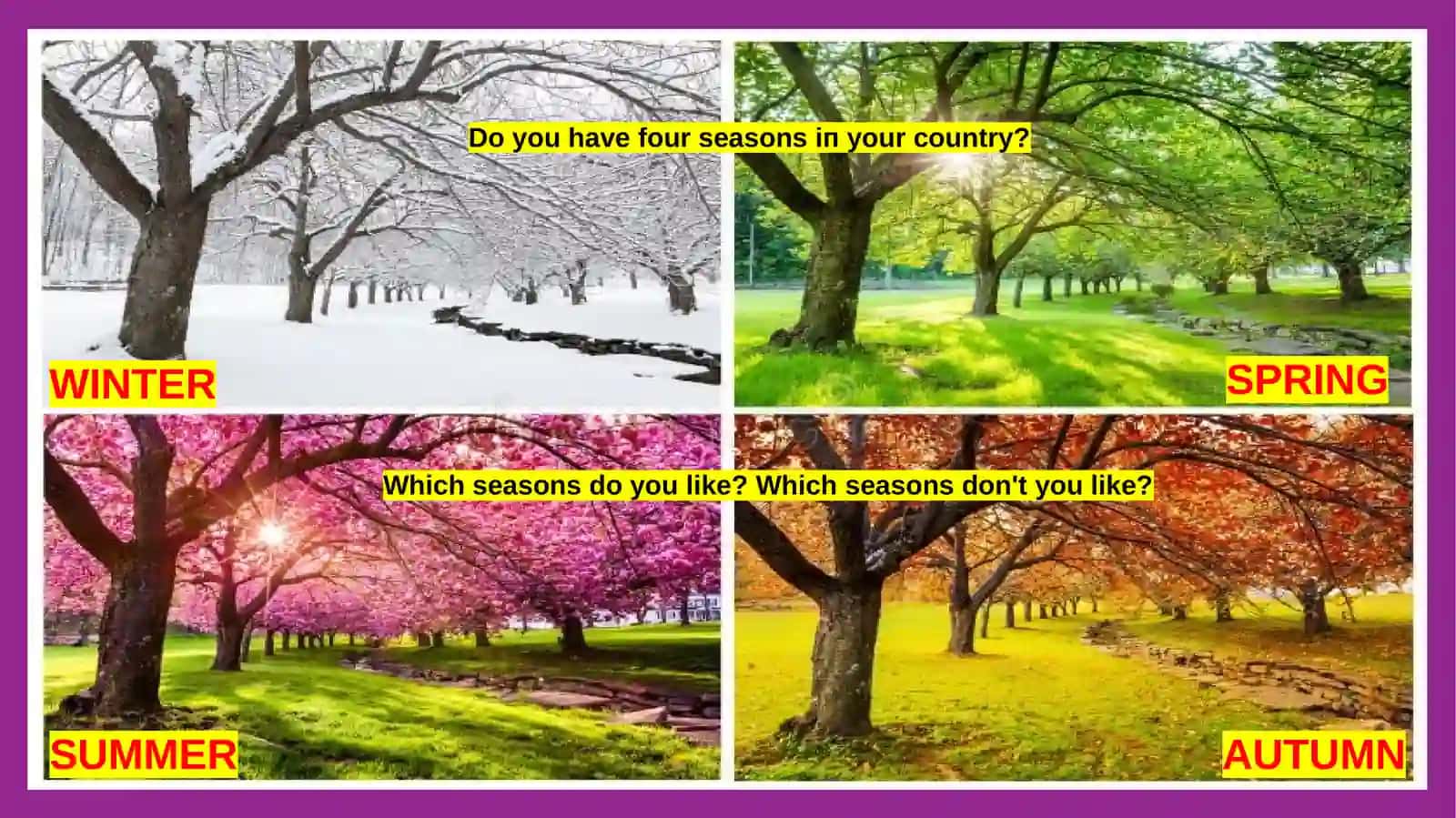 Past Simple: Questions; Weather 2